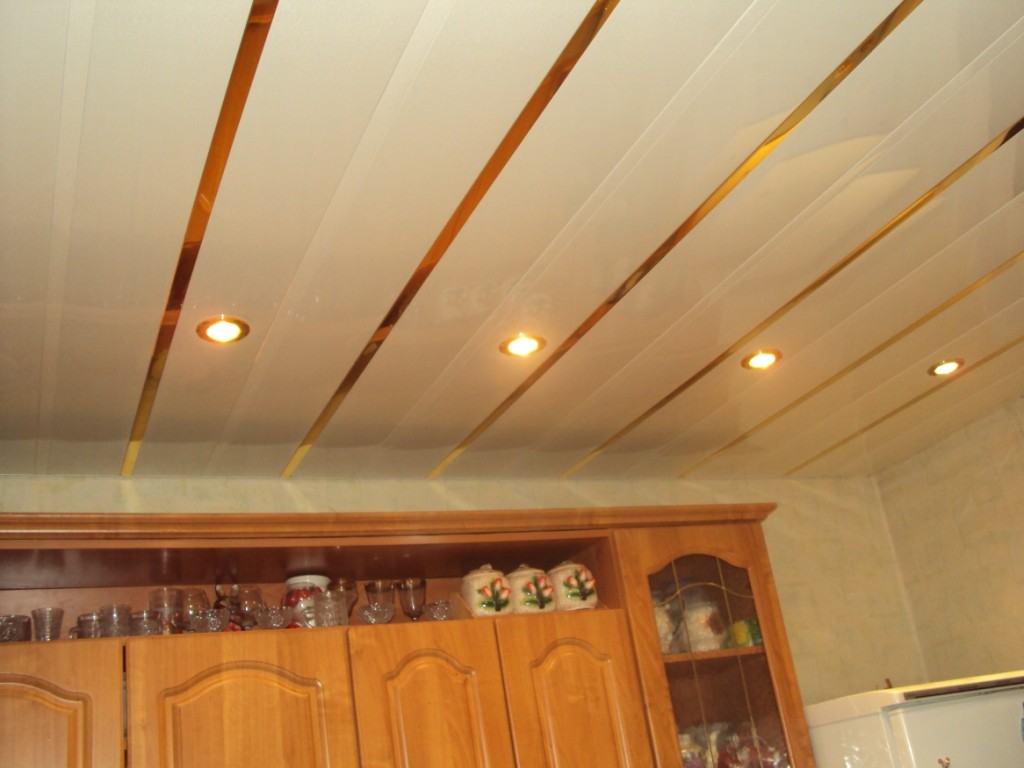Потолки из пластиковых панелей в кухне фото