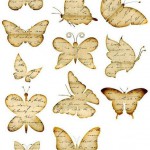 Декор стен бабочками своими руками: трафареты, шаблоны для вырезани я из бумаги, фото