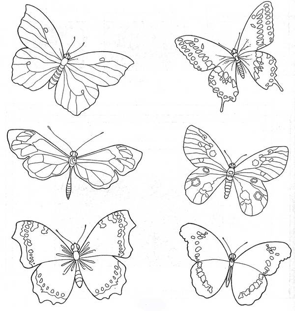 Яркие идеи по созданию оригинальных трафаретов бабочек из разных материалов