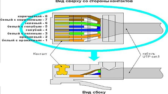 Инструкция по обжиму коннектора RJ-45 и подключению интернет розетки