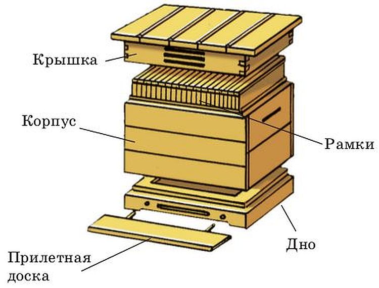 Улей своими руками для домашних пчёл