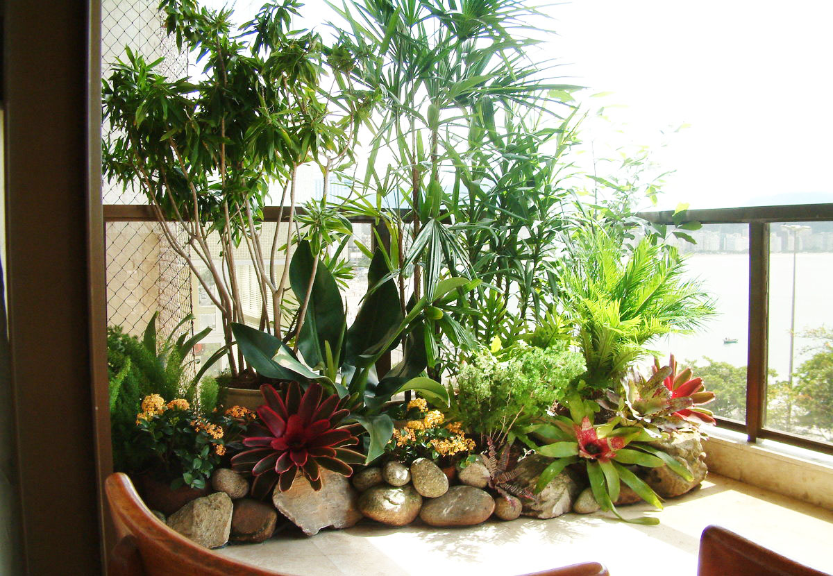 Комнатные растения и цветы в интерьере квартиры: модные комнатные .
