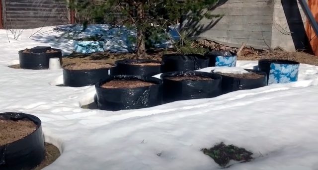 500-литровая емкость для огорода за 500 рублей: сосед удивил смекалкой